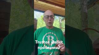 Кошелек 👛или жизнь Trustee wallet проблемы [upl. by Nereil]