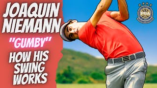 Unveiling the Hidden Secrets of Joaquin Niemanns Golf Swing [upl. by Clem]