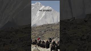 Mount Everest Base Camp Trek in October 2023 [upl. by Akinwahs]