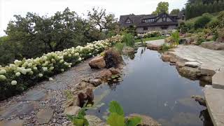 Beautiful koi pond of Eden Prairie mn SD 480p [upl. by Mika]