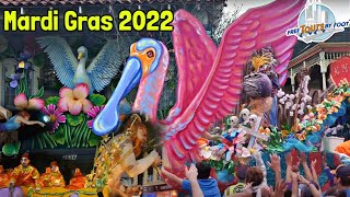 Mardi Gras New Orleans  How to Do Carnival in New Orleans [upl. by Kihtrak]