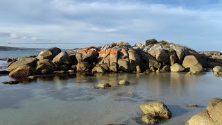 The Gardens Bay of Fires east coast Tasmania filmed with GoPro Hero5 [upl. by Ozne]