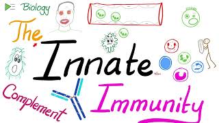 The Innate Immunity and the Complement System  Immunology [upl. by Yerffoeg]