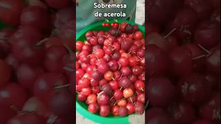 Sobremesa de acerola 🍒🍒acerola frutaacerola🍒 sobremesadeacerola [upl. by Ardel205]