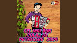 Cea mai Frumoasa Muzica de Petrecere 2024 [upl. by Oler761]