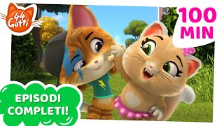 44 Gatti  8 EPISODI INTERI 😺 Buffycats Gattastici Amici 🌈🤗 [upl. by Eive]