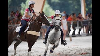 Champions de France Junior Elite 2018 Team Horse Spirit Mounted Games [upl. by Ynafets185]