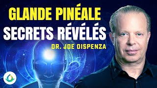 Dr Joe Dispenza  Les Secrets de la Glande Pinéale et du Champ Quantique En Français [upl. by Ardnola]