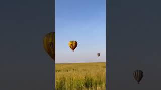 Serengeti National Park [upl. by Emmalyn]