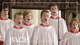 Bach  Opening Chorus Kommt ihr Töchter from St Matthew Passion BWV 244  Netherlands Bach Society [upl. by Annunciata616]