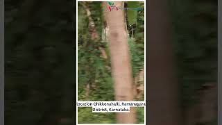 5 Acre  Agricultural land for sale  Chikkenahalli  Ramanagara  Karnataka [upl. by Brinkema808]