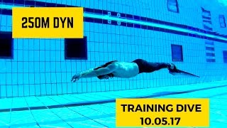 250m Dynamic Apnea with Fins  Training Dive [upl. by Jari]