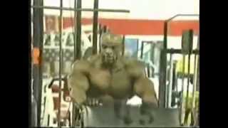 Ronnie Coleman vs Mariusz Pudzianowski [upl. by Auhsoj]