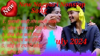 गुलाबी साड़ी लाली लाल।।Gulabi Sadi Lali Lal Singer Chinta DeviampPankaj Mahali New Nagpuri Song 2024।। [upl. by Septima]