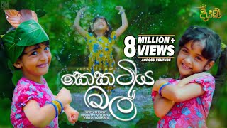 Kekatiya Mal කෙකටිය මල්  Various Artist  Diyani Teledrama Song  eTunes [upl. by Nnitsuj]