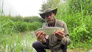 River Lugg Chub Split cane and Centre pin reel [upl. by Giguere]