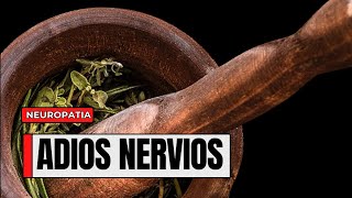 Plantas que Sanan tus Nervios Cómo Usarlas para Aliviar el Estrés y la Ansiedad [upl. by Sidon413]