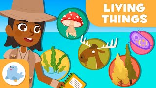 The Classification of Living Things 🦠 🐰 5 ANIMAL KINGDOMS 🌱 Science for Kids [upl. by Akiam]