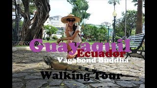 Guayaquil Ecuador Walking Tour [upl. by Marquis770]