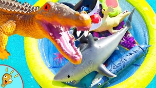 WATER Toys Learn Water Animals in a Pool Floatie with Squishee Nugget [upl. by Ayanaj]