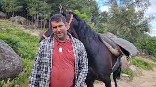 Seguimos haciendo trabajos ancestrales con Viriato Y mi herida ha cicatrizado 👍 [upl. by Carilla]