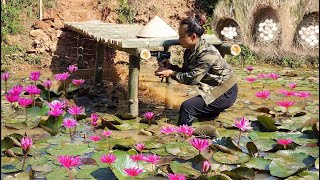 Harvesting Eggs from laying hens Gardening growing Vegetables building bamboo bridges fish ponds [upl. by Enaerb]