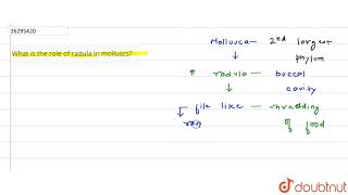 What is the role of radula in molluscs [upl. by Florance591]