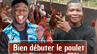 Comment bien Débuter son Projet dÉlevage de Poulets en 6 Étapes Clés [upl. by Ettenaj]