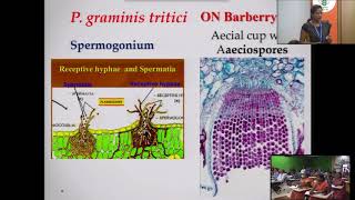 Life cycle of Puccinia graminis tritici  Gopika [upl. by Edahs]