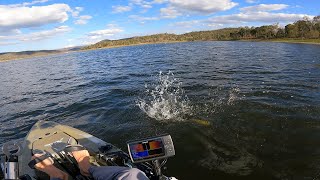 Fishing at Cressbrook Dam  October 2023 [upl. by Blakeley496]