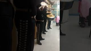 Mariachis en Naucalpan San José de los Leones 5546112676 telefono mariachi economico a domicilio [upl. by Ziwot]