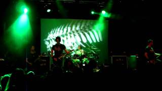 Gojira  Lizard Skin live au Rio Grande  15072010 [upl. by Zoellick]