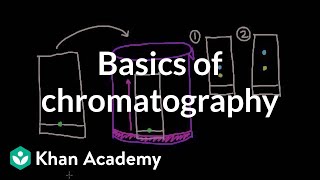 Basics of chromatography  Chemical processes  MCAT  Khan Academy [upl. by Brewer]