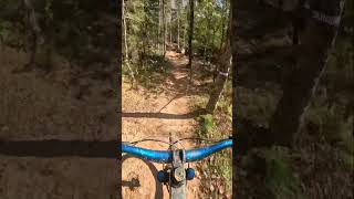 Dreamweaver at snowshoe bike park [upl. by Acsisnarf729]