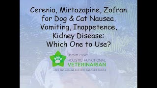 Cerenia Mirtazapine Zofran Dog amp Cat Nausea Vomiting Inappetence Kidney Disease Which to Use [upl. by Freya]