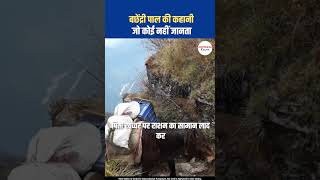 एक लड़की का संघर्ष बछेंद्री पाल की कहानी  Facts in Hindi shorts factsinhindi gk fact viral [upl. by Elleda]