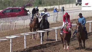 EL DOBLE A C CONSTANCIA VS LA YEEW CPICOSBUENOS AIRESLA CACHANILLA RACE TRACKMEXICALI [upl. by Zehc]