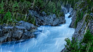 Water amp Rain Sounds for Sleeping  This Sound Puts Us to Sleep [upl. by Ojibbob]