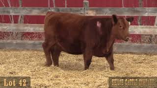 Shiloh 2024 Lot 42 [upl. by Thorlie367]