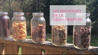 Les avantages de la déshydratation [upl. by Oicirbaf]