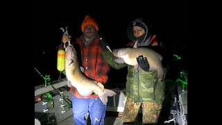 4624 Catfishing Sandusky Bay Live Fishing Tournament League UNO Tournament [upl. by Magill]