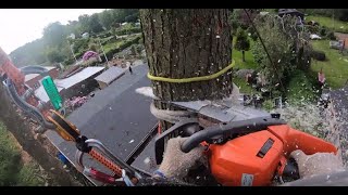 Best Quality POV arborist tree removal by certified Arborist GOPRO TREE WORK [upl. by Felicidad]