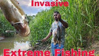 FISHING for INVASIVE FISH  caught three different SPECIES  few NATIVES CATCH amp COOK [upl. by Ellerrehs]