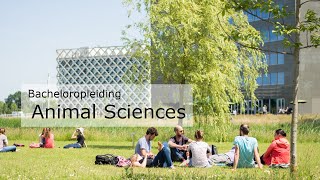 Bekijk nu alles over Animal Sciences – Bachelor Online Open Dag WUR [upl. by Sanjay530]