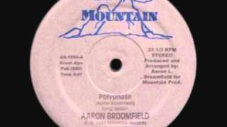 Aaron Broomfield  Polyphase [upl. by Franzen]