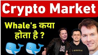 🔴 Whales क्या है   Cryptocurrency  What is Crypto amp Stock Whales [upl. by Ahidam]