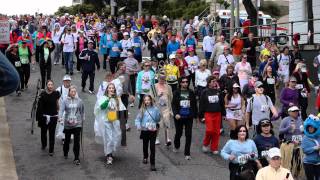 Bay to Breakers 2011  The Masses Pass By Alamo Square Park [upl. by Huff163]