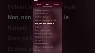 Love Story  indila  Song lyrics indila song music singer [upl. by Flyn323]