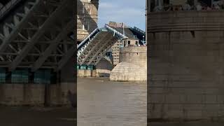 tower bridge London shortsfeed travel placestovisit shorts [upl. by Shute]