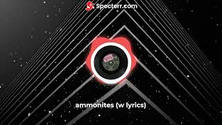 ammonites w lyrics [upl. by Epolenep394]